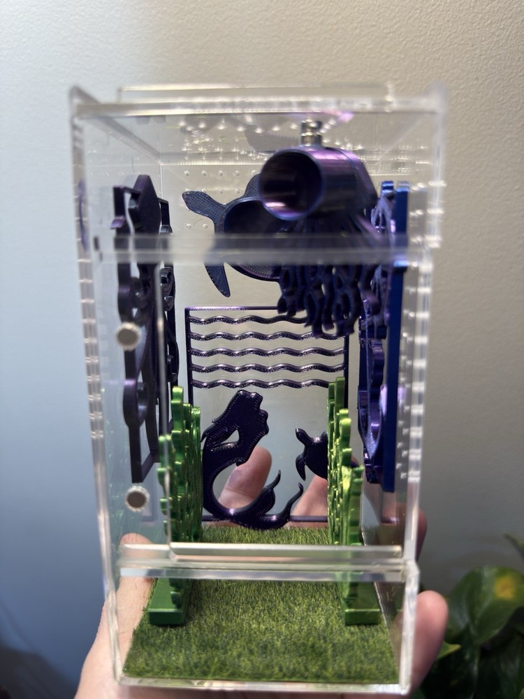 Jumping Spider Enclosure with Aquatic Theme Decorations