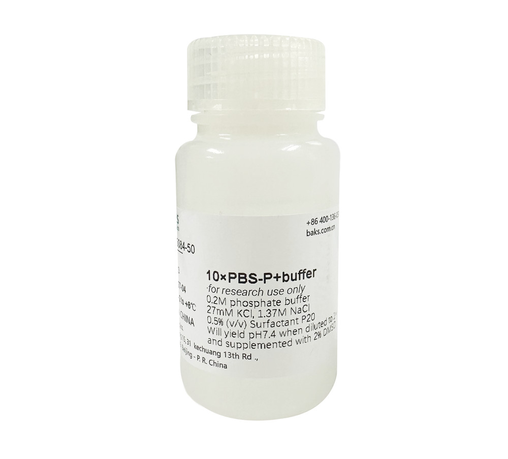 BAKS SPR running buffers 10×PBS-P+buffer