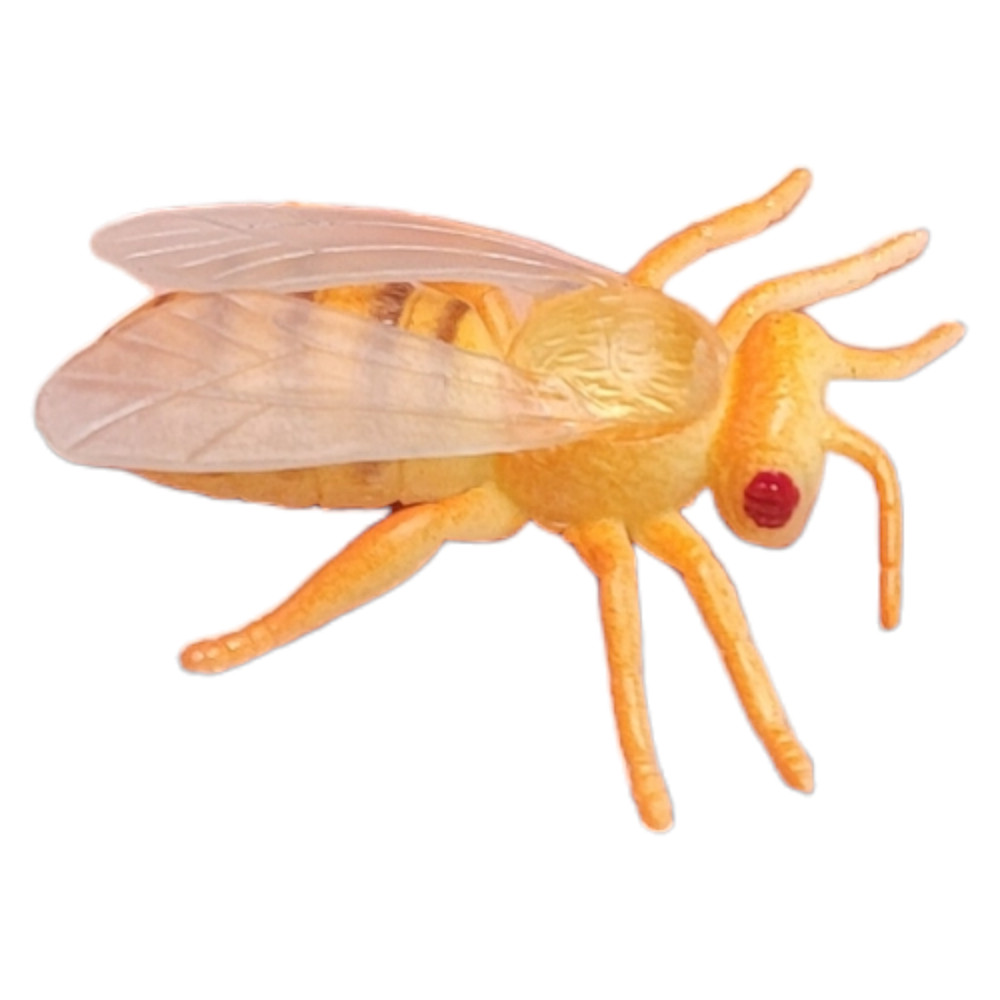 Large 2"-3" Insect Set (12 Pack) Plastic. 12 Realistic Looking Mini. Lady Bug