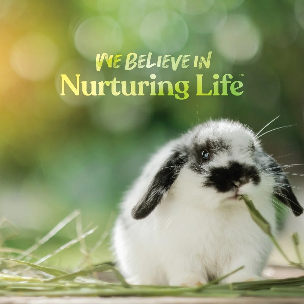 Complete Rabbit Feed Pellets