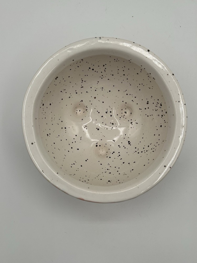 Anthropologie IRIS RAINBOW 5.5" Stoneware Planter Footed Pot