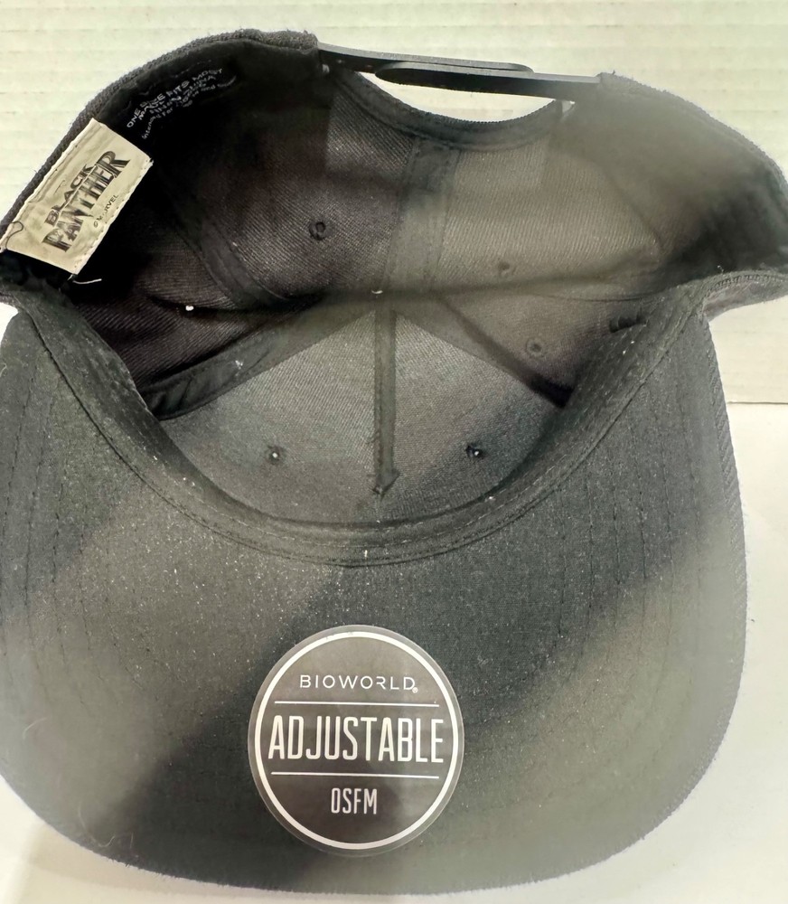 Panthers Movie Snapack Cap