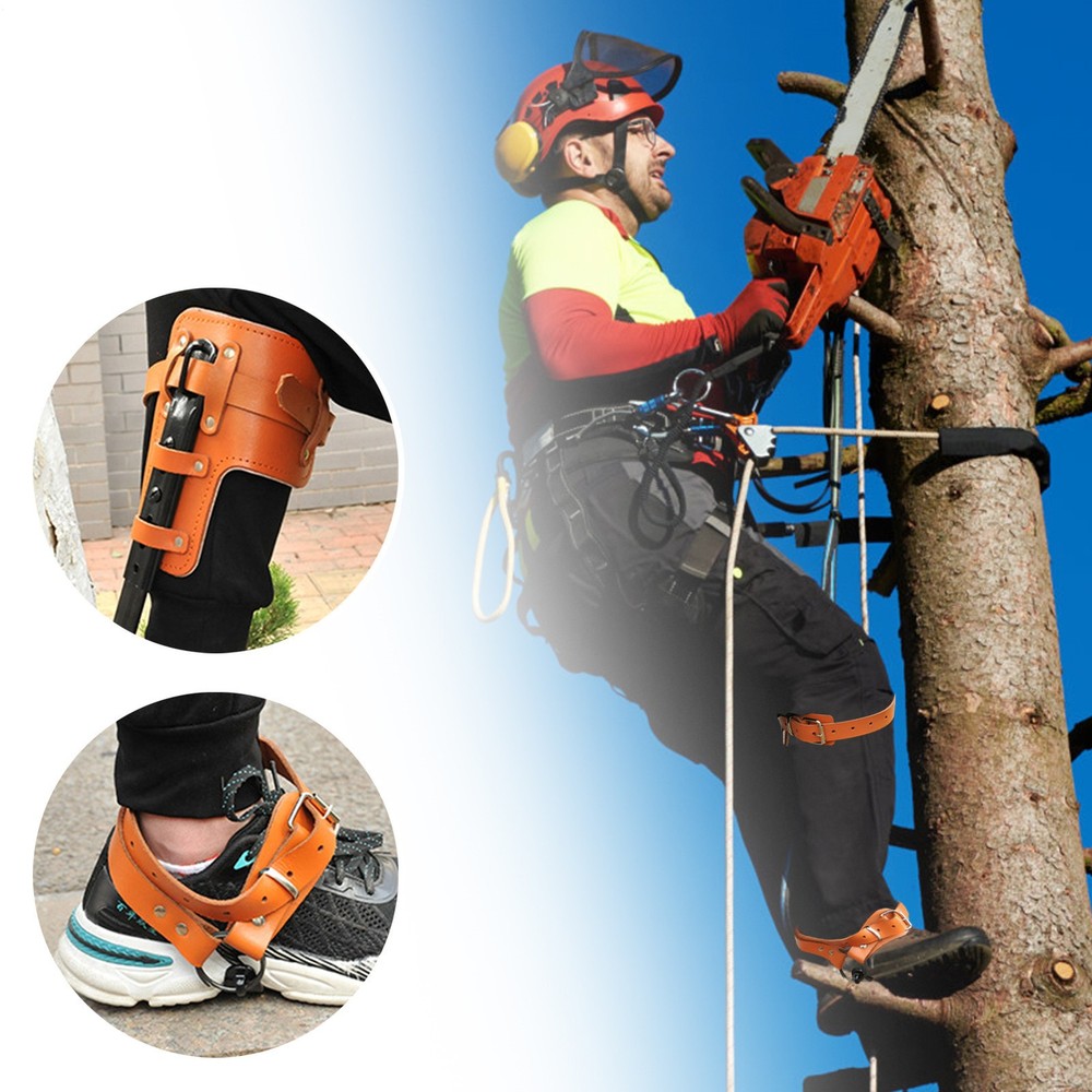 Tree Climbing Spike Set with Safety Belt for Tree Work Camping Accessories