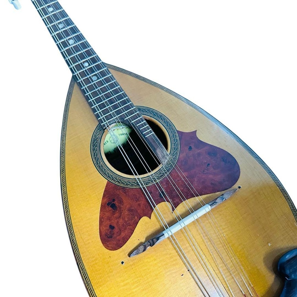 SUZUKI Mandolin NO230