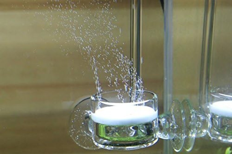 Efficient Ceramic CO2 Diffuser with Suction Cups for 30-50 Gallon Tanks