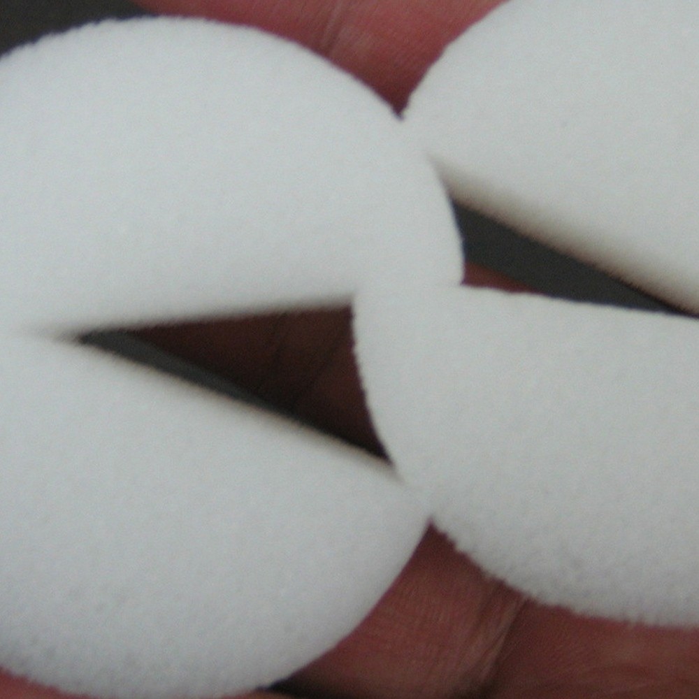 100 PCS Hydroponic Sponges Vegetables Cultivation Tools Planting