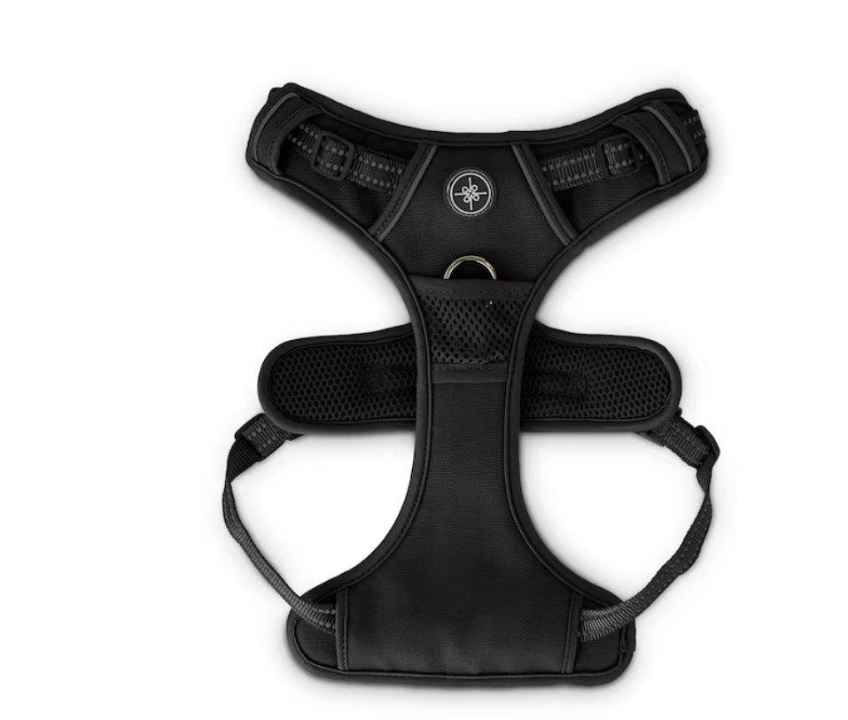 Everyay Embrace Front Black Dog Walking harness Large