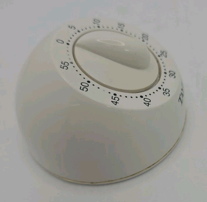 Taylor Plastic Timer WORKING