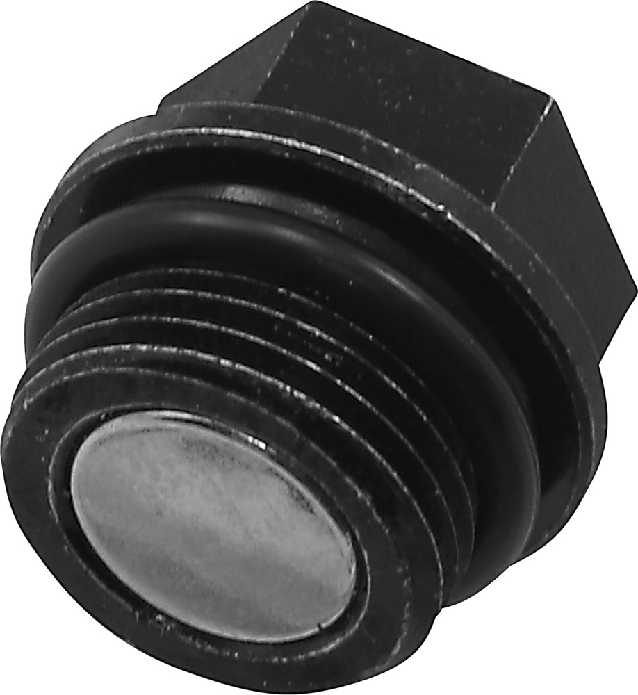 QUAD LOGIC 100-2387 Front Differential Drain Plug and O-Ring