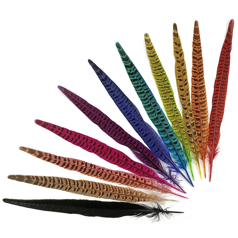 RINGNECK PHEASANT TAIL - 2 - Fly Tying Materials - Fly Tying Feathers - 10-12 in