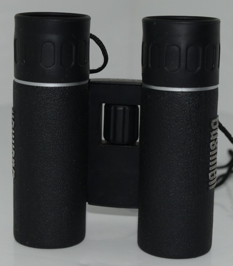 Bushnell Binoculars 13-2514 Black PowerView 8x21 with case