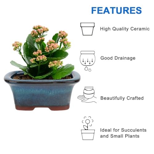 Bonsai Planter 6 pc Mini Glazed Succulent Pots Value Set + 6 Soft Mesh Set6b