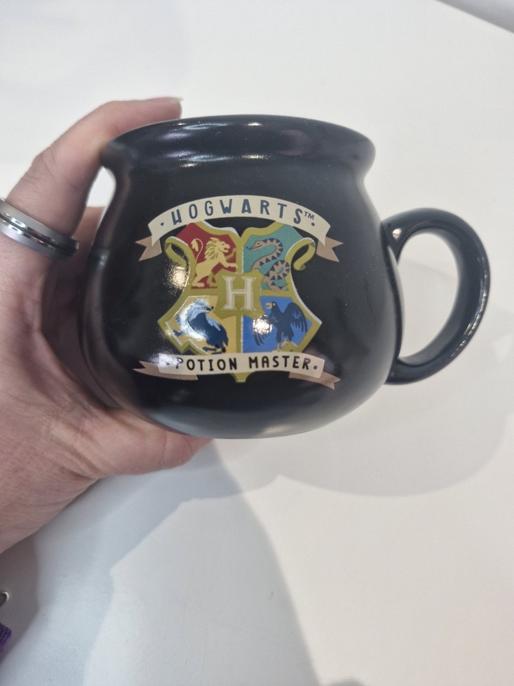Harry Potter Hogwarts Potion Master Mug Black Stoneware Wizarding World Cup