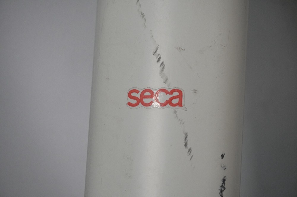 seca 703 1021999 column scale, max 250kg, d = 100 g