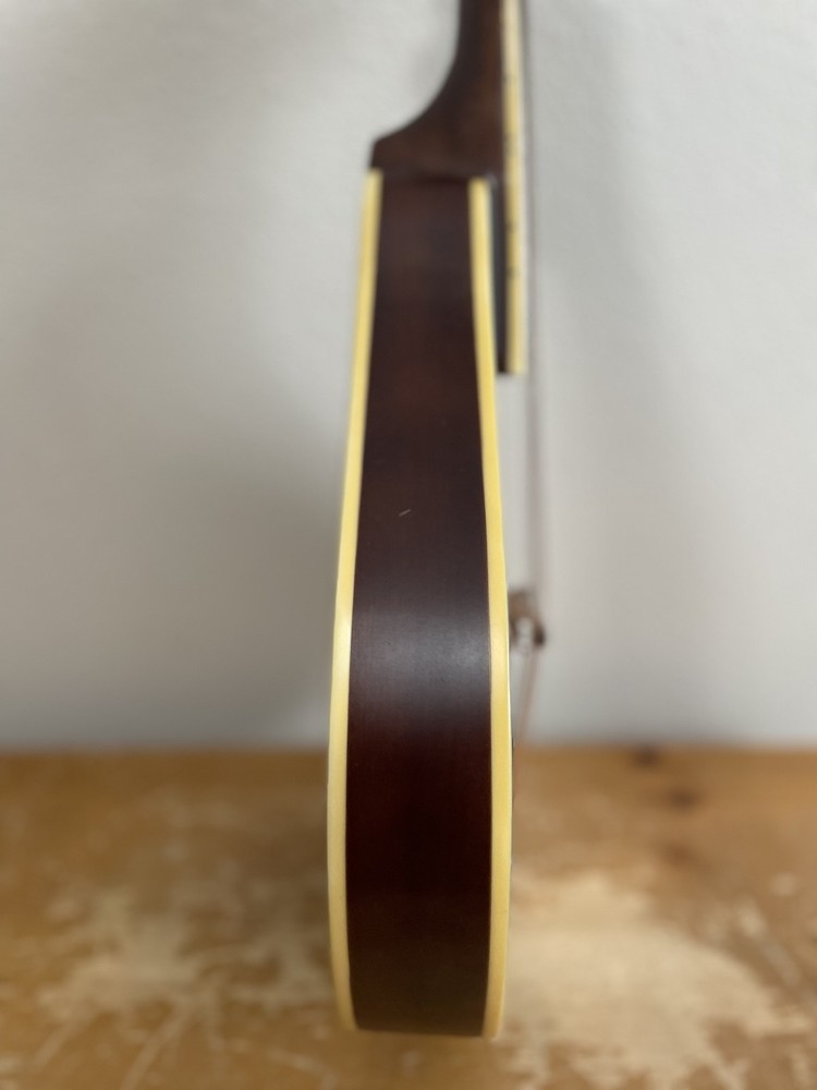 J. Reynolds A-style 8 String Mandolin Teardrop Two Toned Sunburst