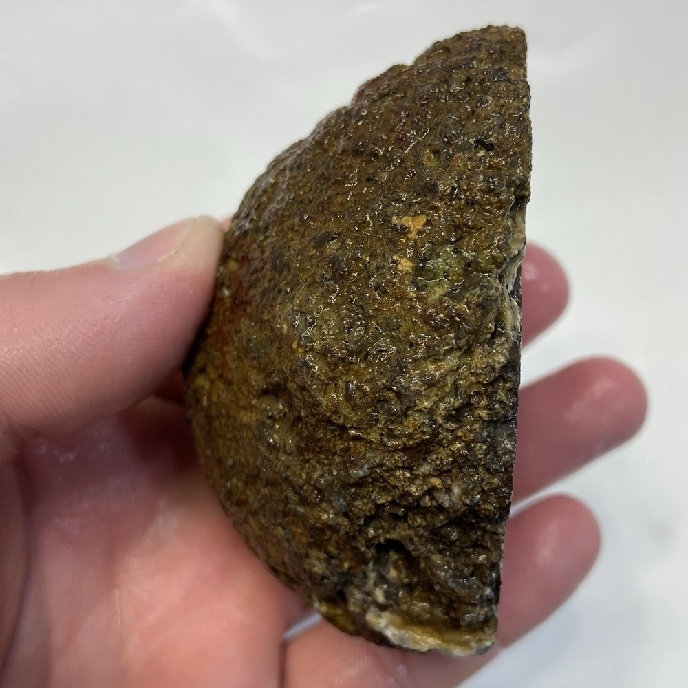 Orange Dendritic Agate Rough Lapidary Half 10.74 Oz