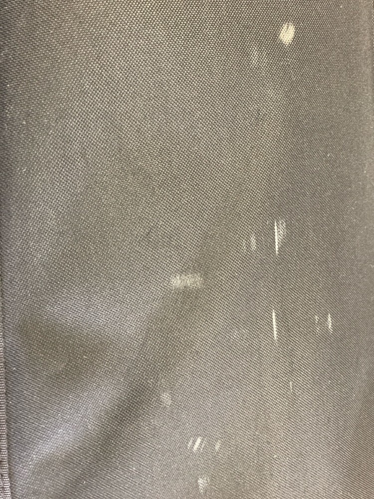 Leon Albert Student Violin 4/4 Contate Case and Bow