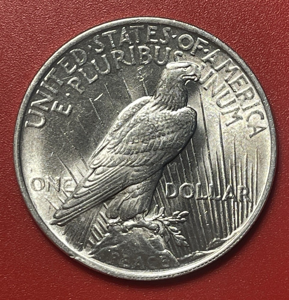 1923 P Peace Silver Dollar, Choice to Gem Uncirculated