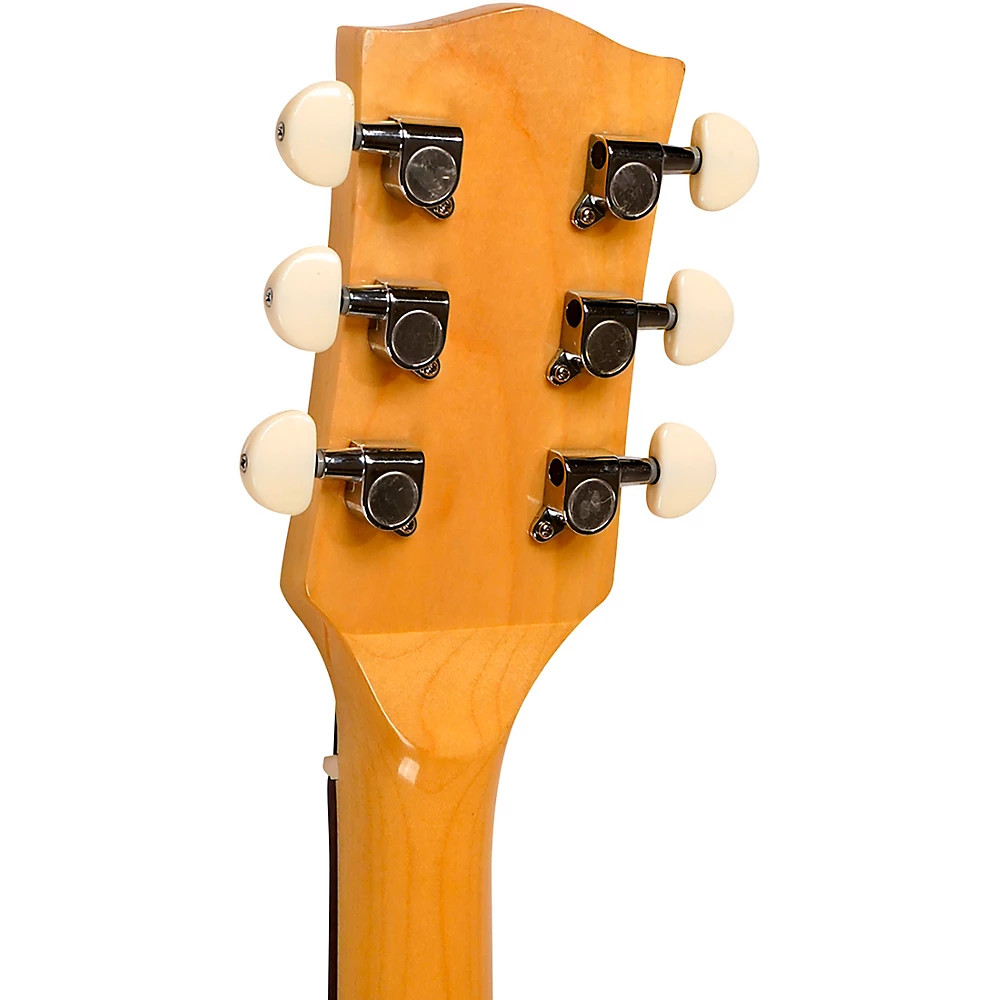 Gold Tone GT-500 Banjo