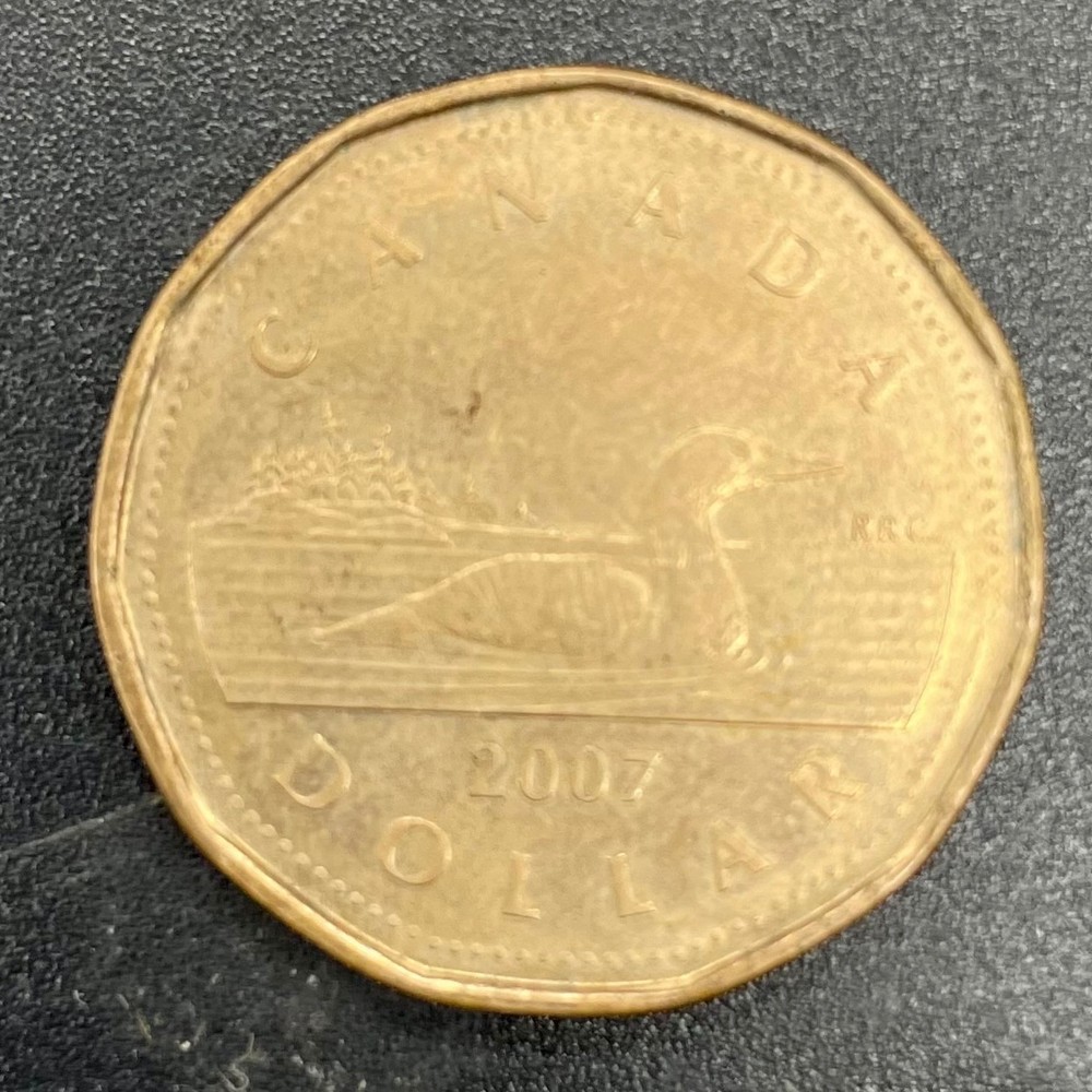 Canada 2007 Old Generation Loonie Coin
