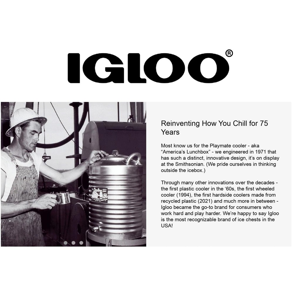 Igloo Replacement Telescoping Handle for Ice Cube and 16 inches x 6", Black