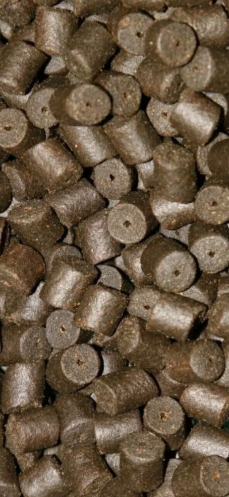 5kg 14mm Predrilled Halibut