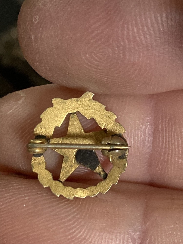 Eastern star masonic Lapel Pin EUC K535