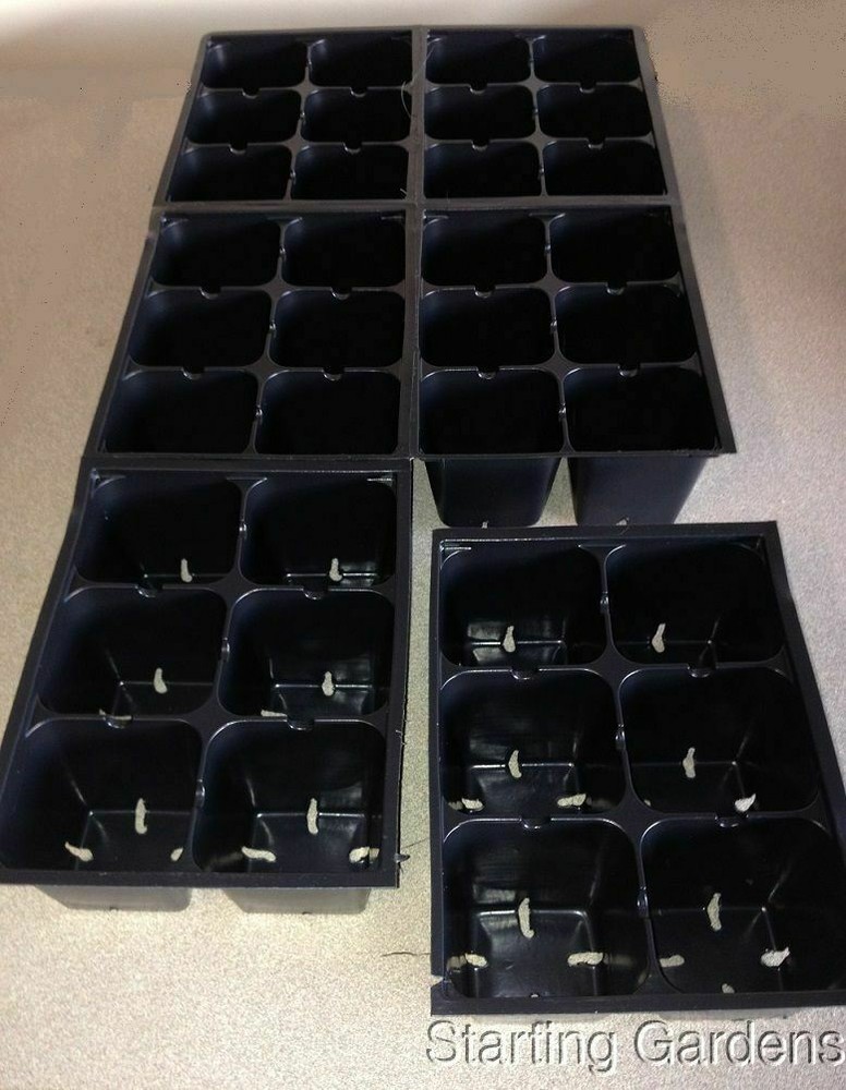 Seed Starting Kit, 2 Seed Trays, 2 Inserts, 2 Dome Lids, Seedling Starter Kit