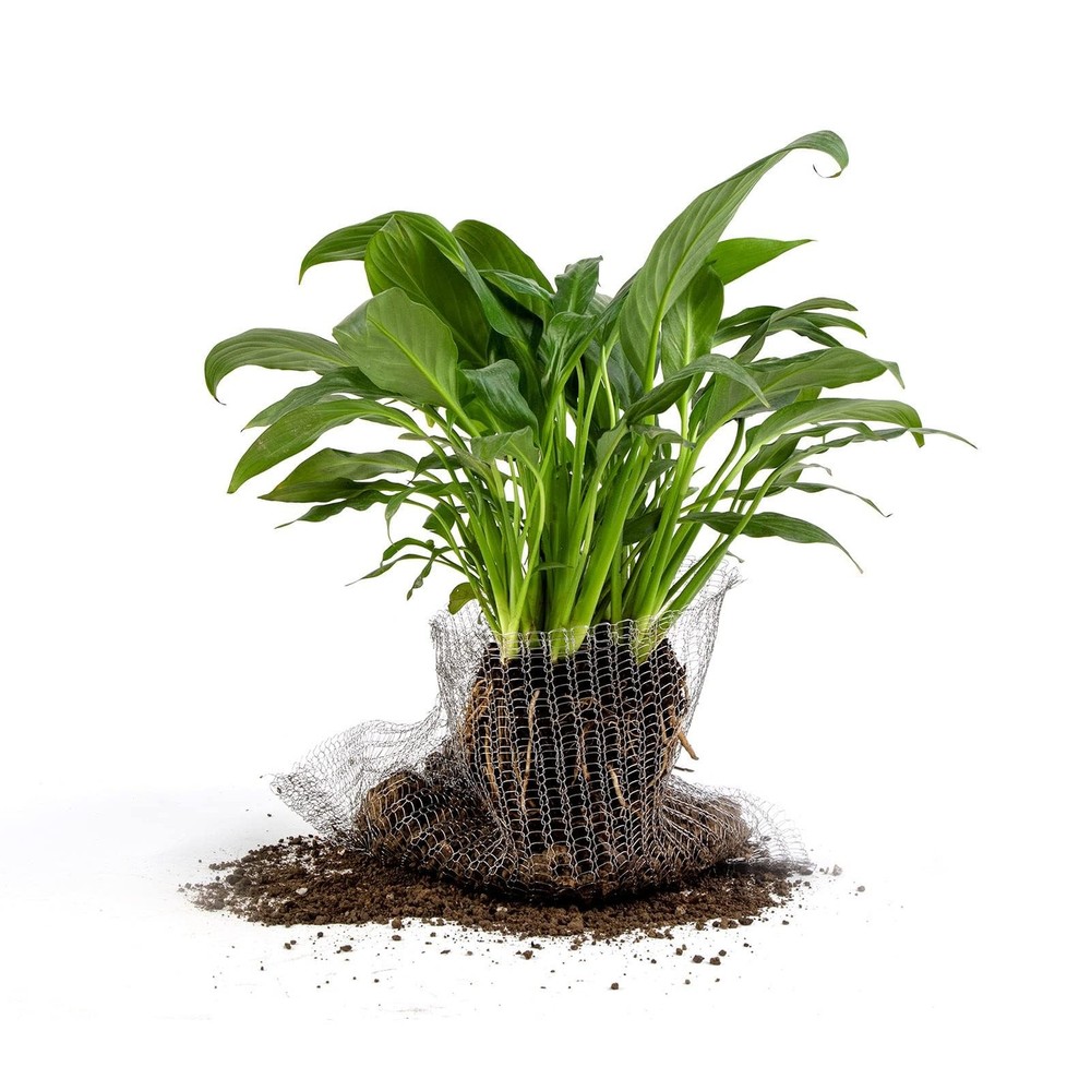 8 PCS 5 Gallon Root Guard Gopher Proof Wire Basket Stainless Steel Silver