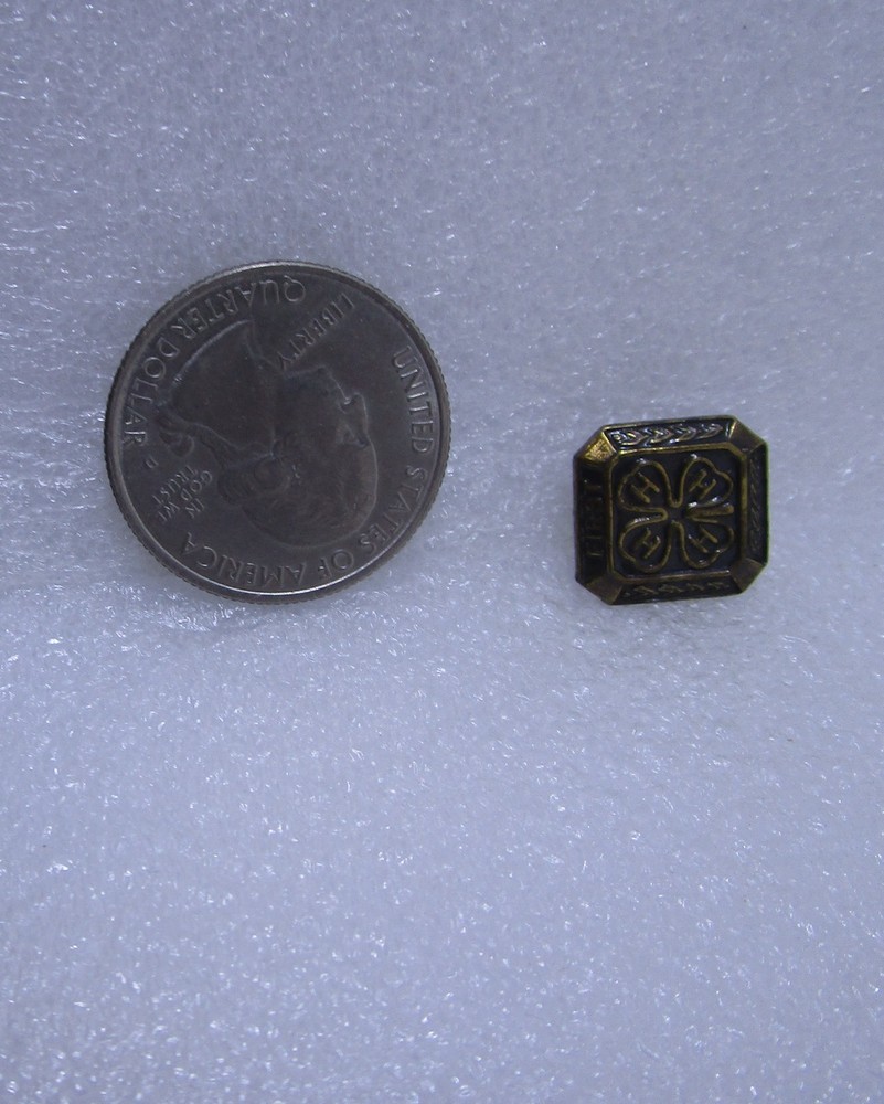 4H First Year Pin
