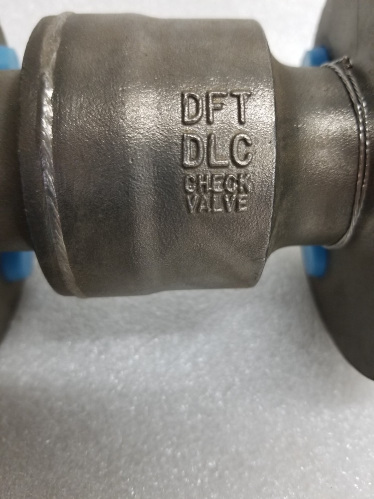 DFT Valves CN7N Check Valve 1" Stainless Flanged