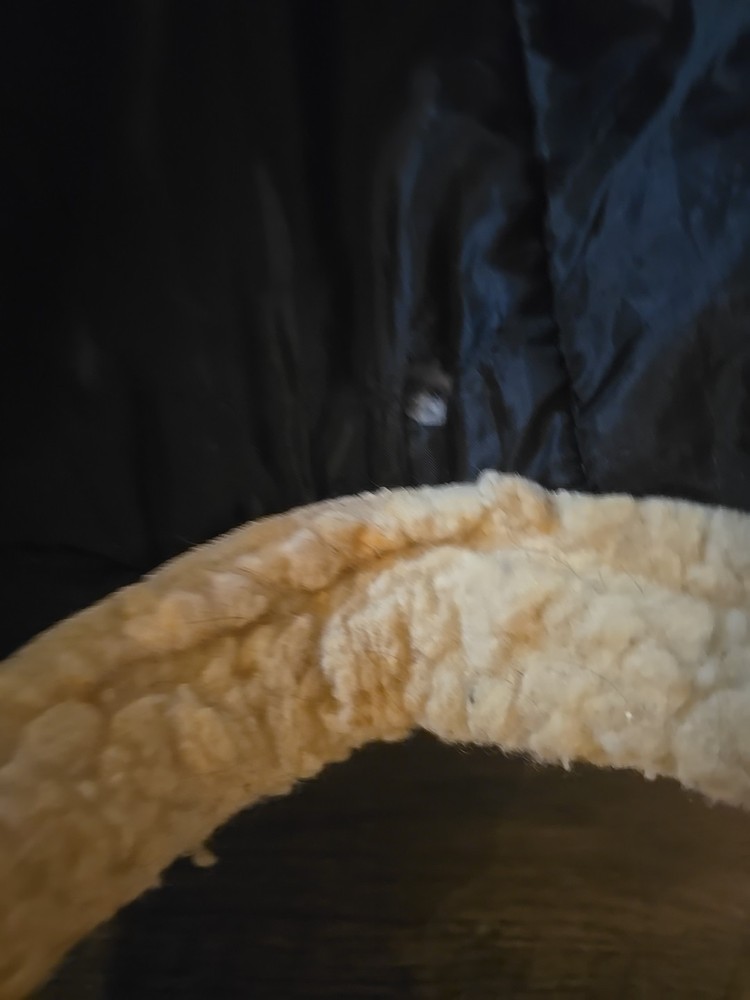 horse blanket 78
