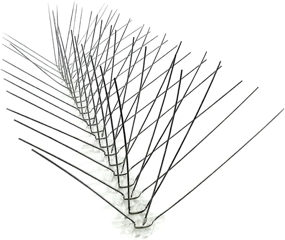 6-Inch Regular Width Stainless Steel Bird Spikes - Safe and Effective Solution