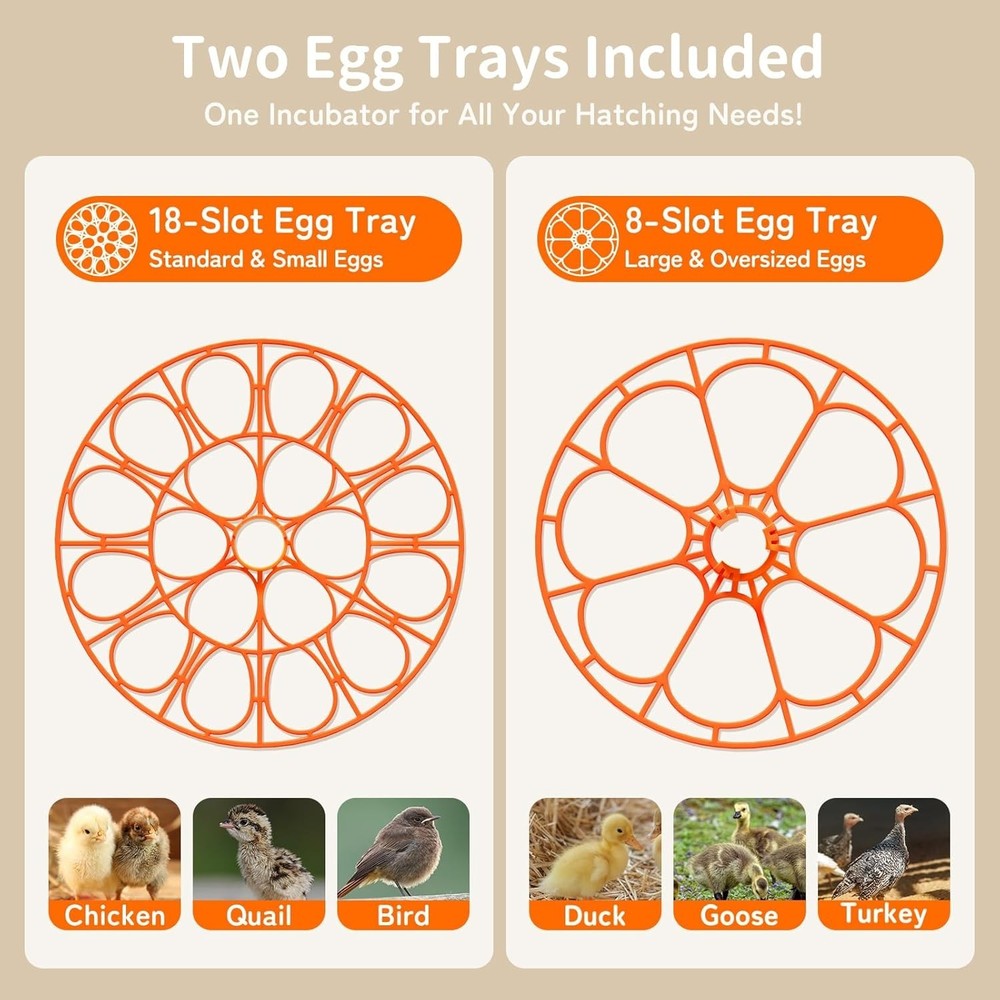 18 Egg Incubator with Automatic Turning, Humidity Control & Adjustable Settings