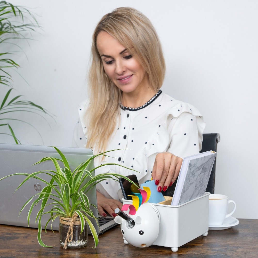 Made Easy Kit Desk Organizer, with Module Compartments (White Unicorn)