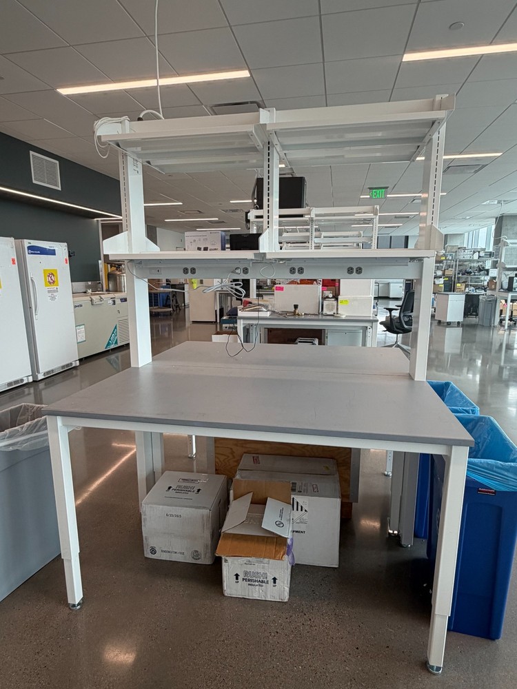 Mott 5' Lab Bench Systems w/ Shelves & Electrical