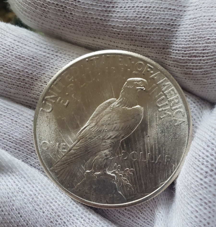 1925 P Peace Dollar BU