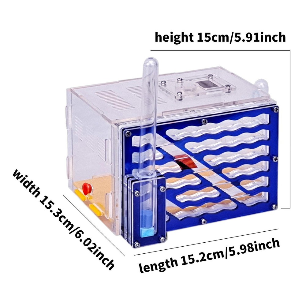 Housing Nest Creative Set for Kids Birthday Science Activity