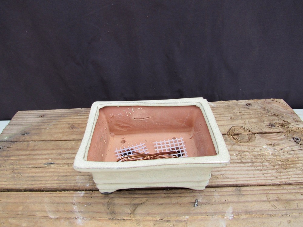 White Glazed Ceramic Professional Bonsai Pot - Rectangle - 6" x 4" x 2"