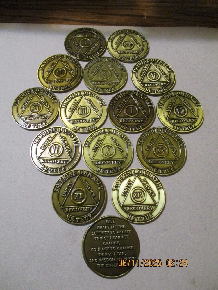 Coin Pink Butterfly Into Action Tri-plate 12 Step Programs