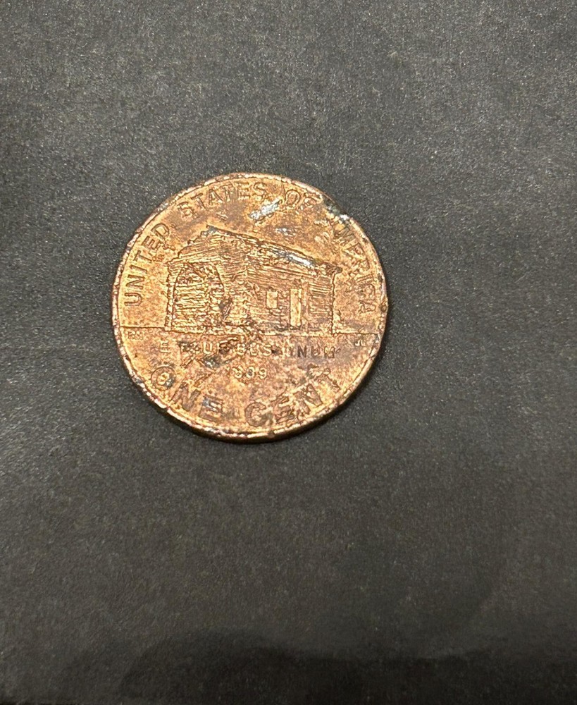 2009 D One Cent Lincoln childhood