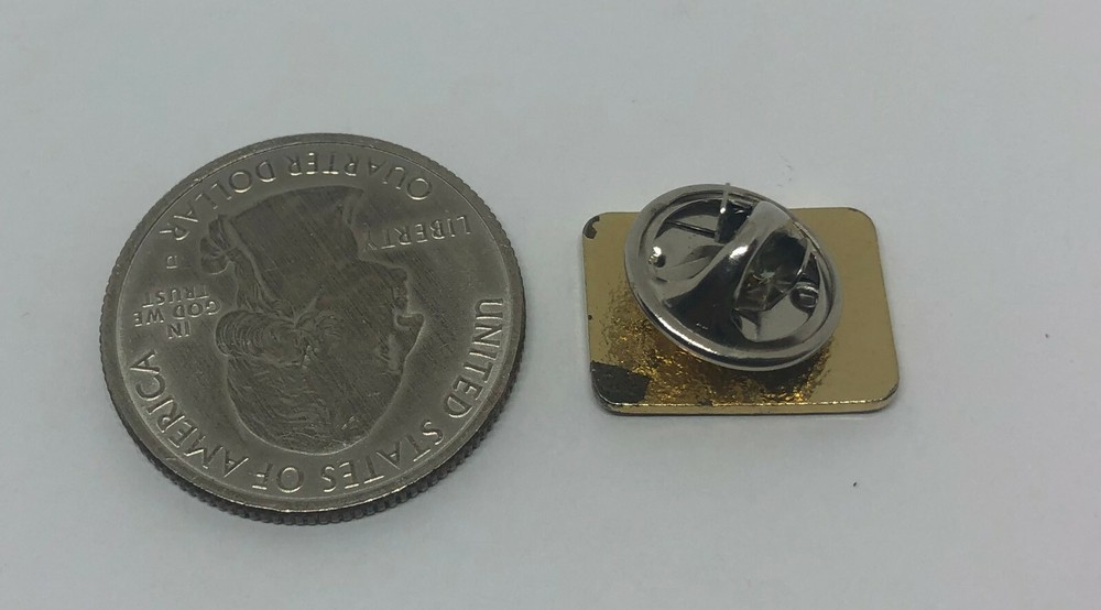 We Teach The Children Pin
