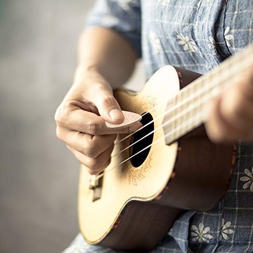 CHENGU 5 Sets Nylon Ukulele Strings with 10 Ukulele Felt Picks Strings