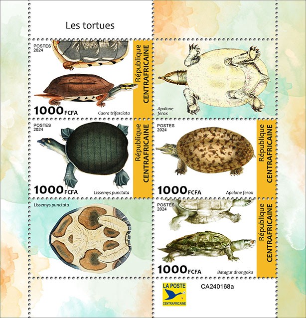 Turtles