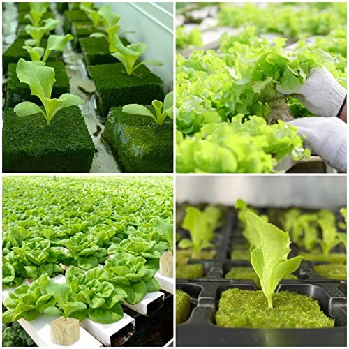 1" Rockwool Grow Cubes Starter Plugs for Plant Growing Rooting, 2 Sheets