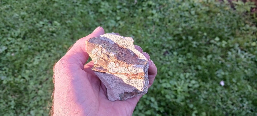 CARRASITE Jasper Polished Specimen