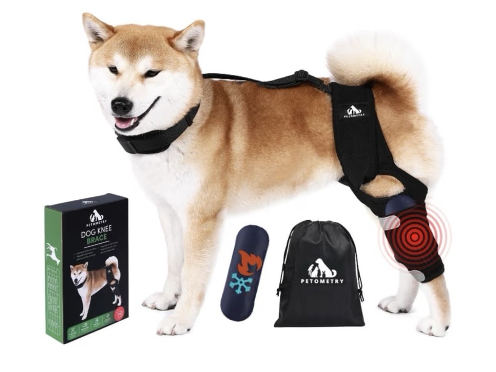 Petometry Dog Knee Brace Medium ACL CCL Support w/ Hot Cold Pack Adjustable