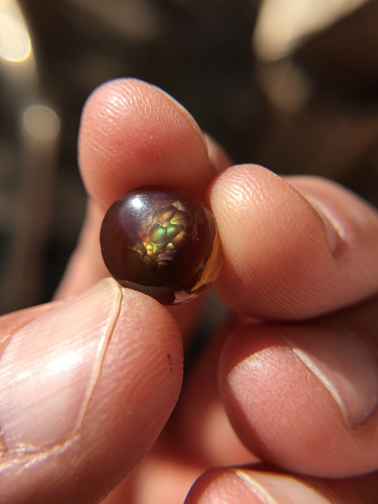 Deer Creek Fire Agate Cabochon
