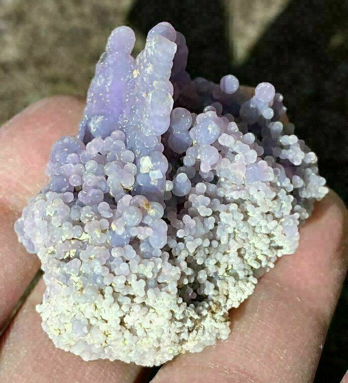 ~Weird~ Botryoidal Grape Chalcedony Specimen - AKA Mankarra Agate - C9