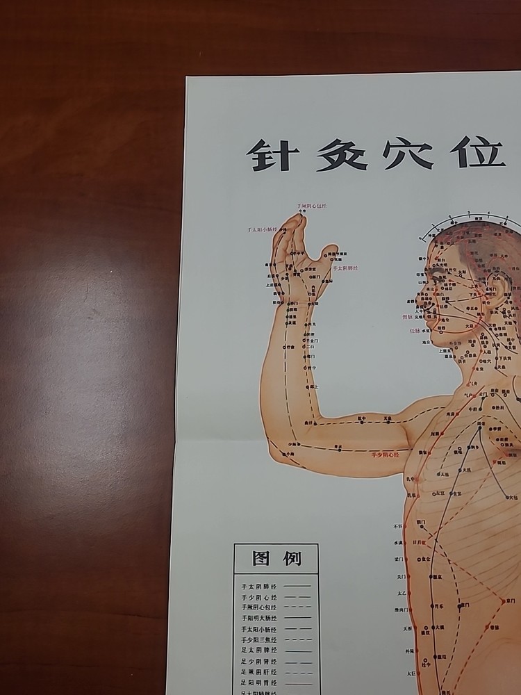 Chinese Acupuncture Point Chart